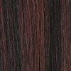 Dream Hair Health & Beauty 20" = 50 cm / Schwarz-Mahagony Mix #F1B/33 Dream Hair Euro Straight Real hair