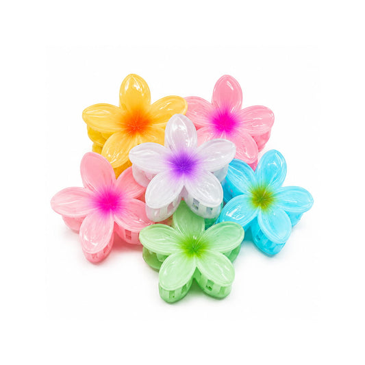 Dreamfix Health & Beauty Dreamfix Woman Hair Clips 1 Pcs (assorted)